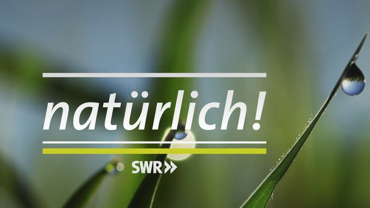 SWR natürlich - Bauschutt-Recycling +++